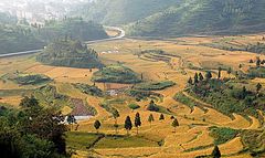 фото "MingAo terraced fields"
