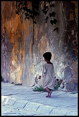 фото "I walk alone"