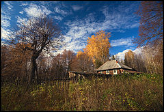 фото "Затерянный в лесу"