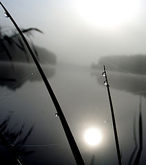 photo "***"
