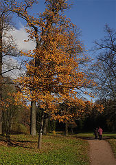 фото "На прогулке"