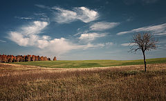 фото "Карусель облаков"