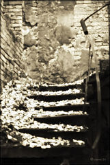 photo "***"