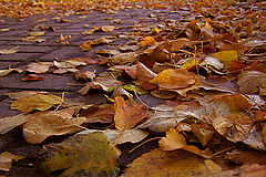 photo "***"