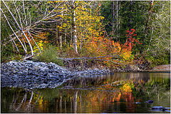 photo "Water of the fall colors"