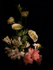 photo "***"