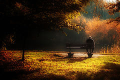 фото "Autumn of life"