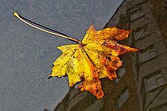 photo "***"
