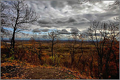 photo "***"