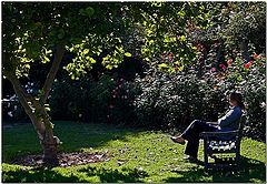 фото "Alone In The Garden"