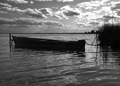 фото "Неро"