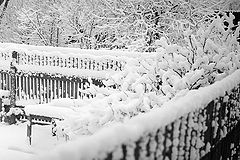 photo "Cozily"