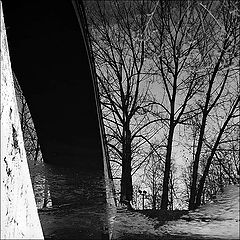 photo "***"