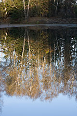 photo "***"