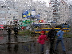 фото "дождь"