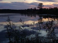 photo "Evening, almost night..."