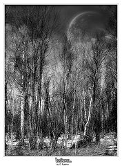 photo "***"