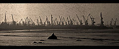 photo "music it was"