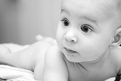 photo "The Look"