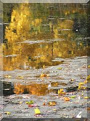 photo "***"