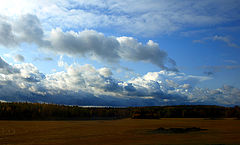 photo "Finnish autumn-2"