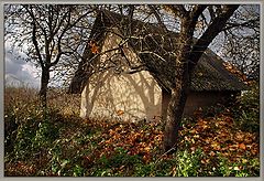photo "Has hidden :)"