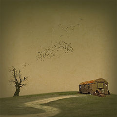 photo "Birds fly away"