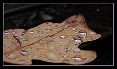photo "***"
