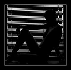 photo "window..."