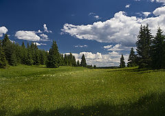 photo "***"