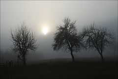 photo "In the mists"