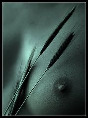 photo "***"