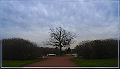 фото "***"