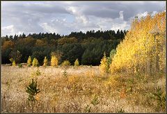 фото "Осенняя картинка"
