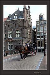 photo "***"