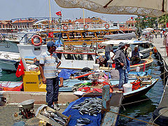 фото "Fish sellers of Turkey"