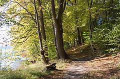 фото "am Pinow"