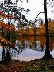 фото "Lake in autumn"