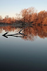фото "Утро осеннее"