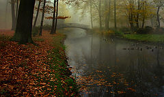 photo "***"