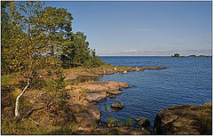 photo "Small cape"