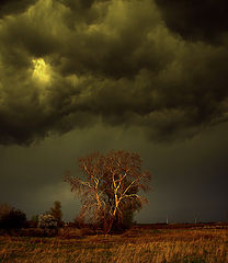 photo "***"