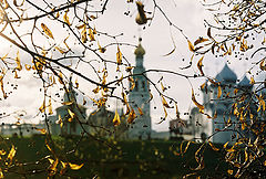 photo "***"