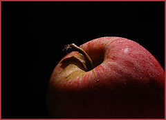 photo "Apple."