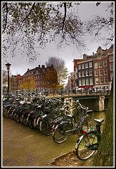 photo "Fall in Amsterdam"