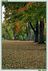 фото "Campus Walk"