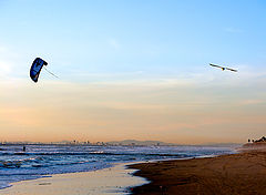 фото "Fly a kite with a bird"