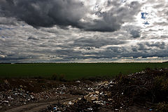 фото "Счастьем и болью"