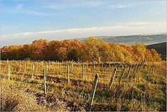 фото "Fall"