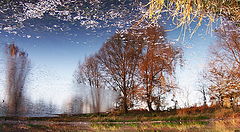 фото "***"
